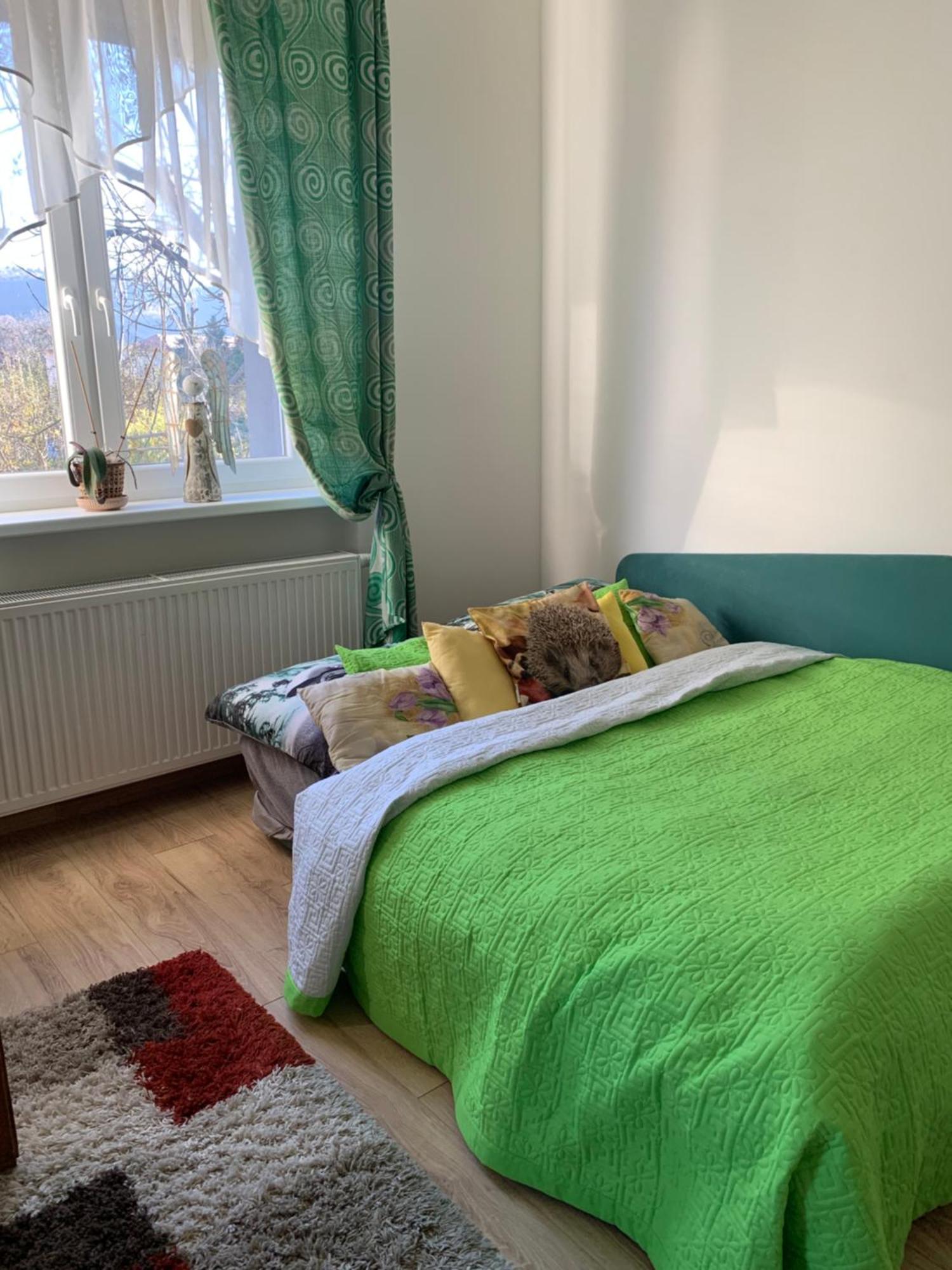 Mnichov Dvor Hotel Slovenska Lupca Eksteriør billede
